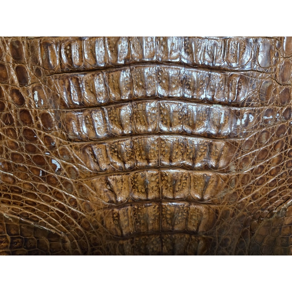 Vintage 1940's‎ Taxidermy Full Body Baby Alligator Handbag Clutch Purse - Picture 7 of 14